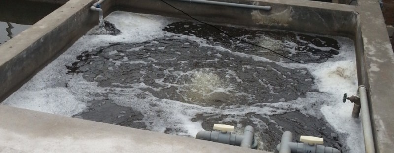 Điểm Phân Phối